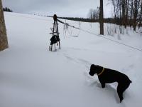 20250112_133616 (1024x768).jpg